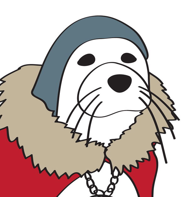 Commander of Harp Seal