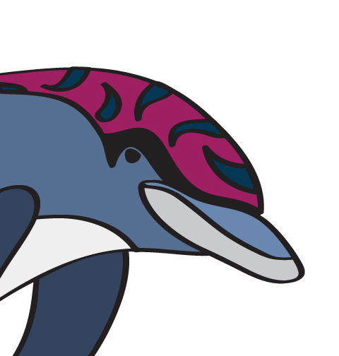 Military Dolphin