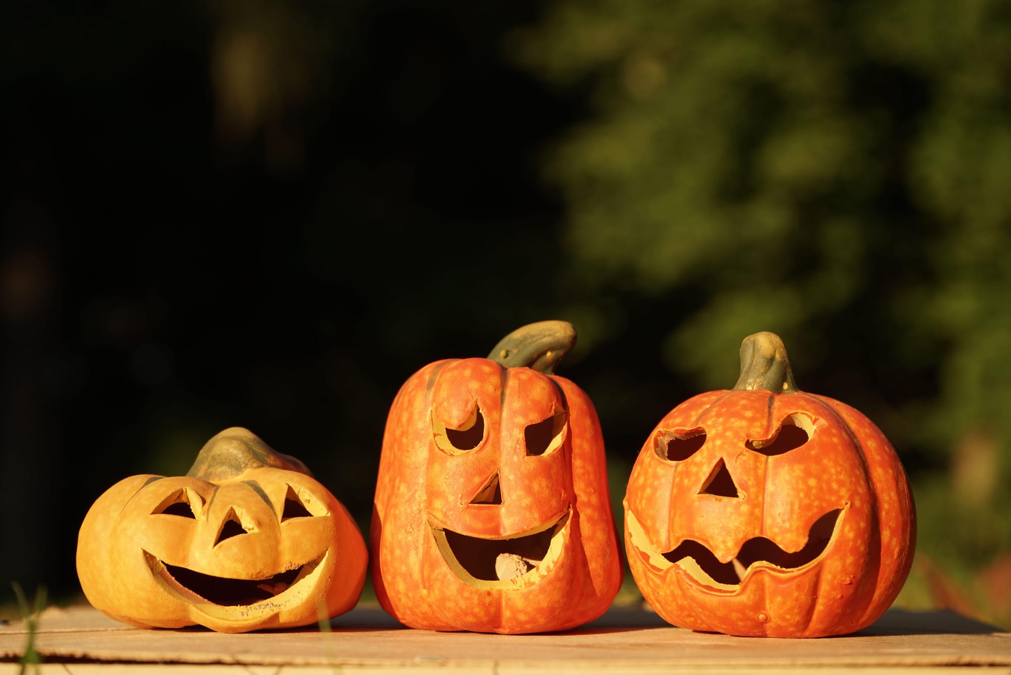 FÊTES PAÏENNES, FÊTES RELIGIEUSES, FÊTES POPULAIRES                                                        D’où vient la fête d’Halloween ?               Gérard Saccoccini