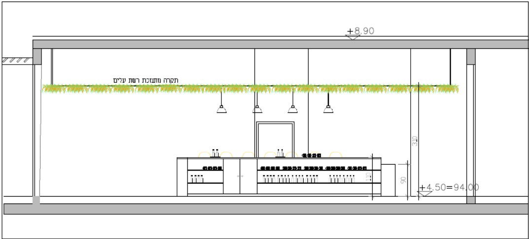 קואלה ביר בר חריש