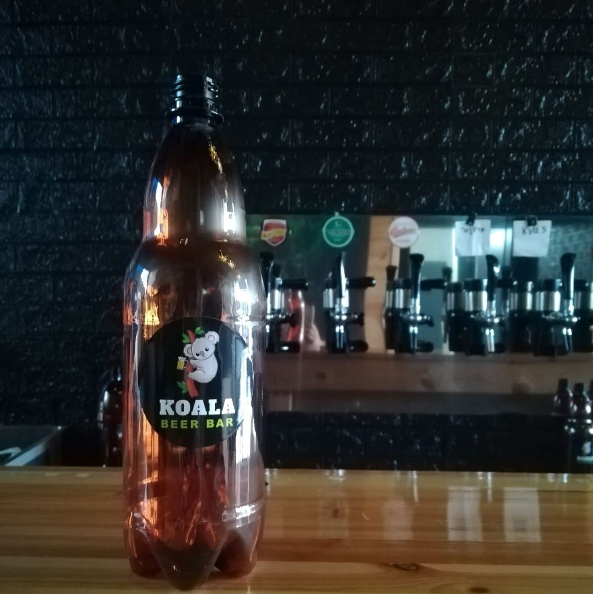 קואלה ביר בר חריש