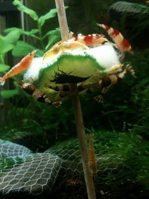 Esperienze personali