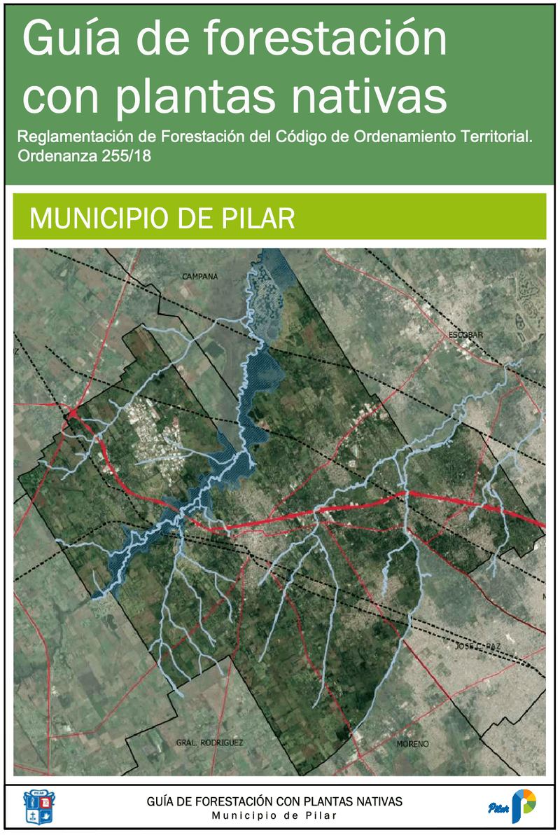 Guia de Forestacion con plantas nativas