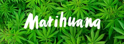 MARIHUANA