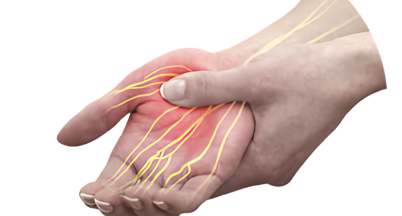 Peripheral Nerve Regeneration