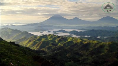 le Parc National des Virunga