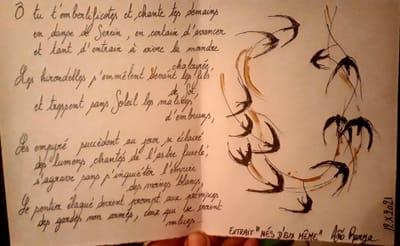 LIVRES PAUVRES image