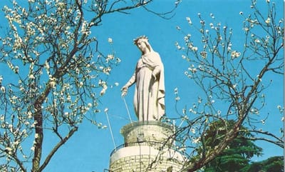 صلاة لمريم العذراء