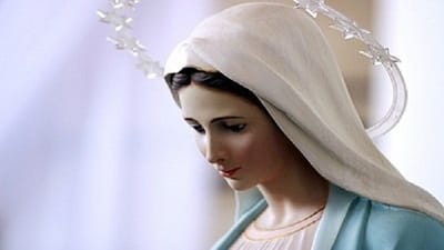 تأمّلات في طلبة العذراء