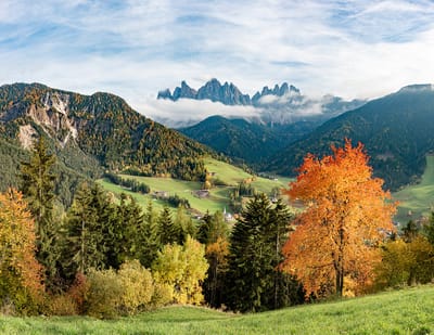 زوادة اليوم 28 أيار 2021