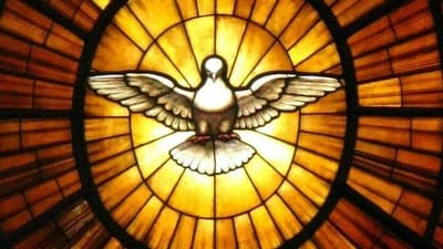 زوادة اليوم 19 آب 2021