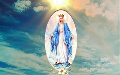 تساعية الحبل بلا دنس