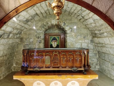 شفاه مار شربل ثلاث مرّات !!! إليكم ما حصل مع بيدبا أنطوان عاد..