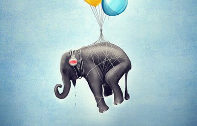 الأفيال لا تطير