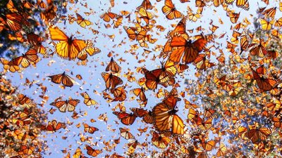 زوادة اليوم 24 شباط 2022