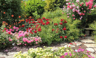 الزهور الجميلة والإناء المشروخ