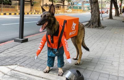 إسعاد الغير