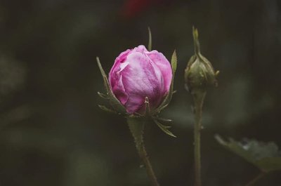 زوادة اليوم 1 أيار 2022