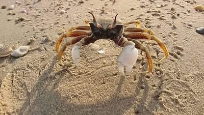 زوادة اليوم 18 حزيران 2022