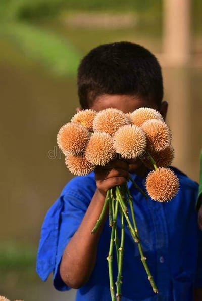 زوادة اليوم 4 تموز 2022