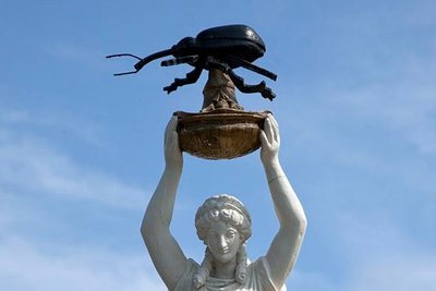 آلام من نوع خاص