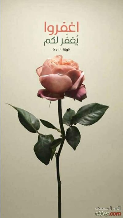 زوادة اليوم 19 آب 2022