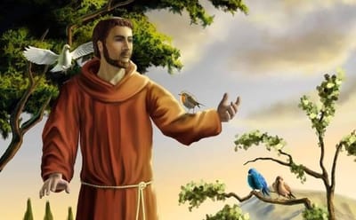 زوادة اليوم 24 تشرين الثاني 2022