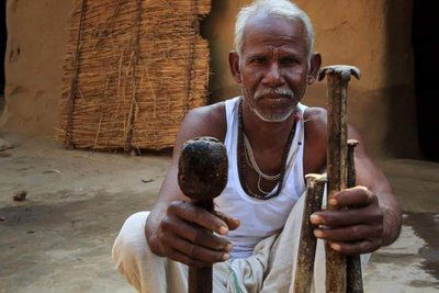 داشرات مانجي