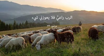 زوادة اليوم 21 كانون الأوّل 2022