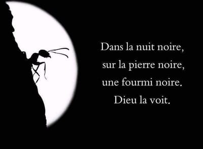 زوادة اليوم 18 كانون الثاني 2023