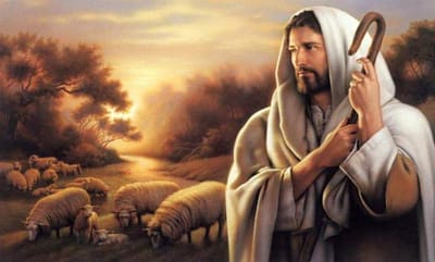 زوادة اليوم 28 كانون الثاني 2023