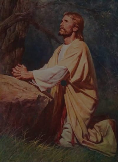 زوادة اليوم 17 شباط 2023