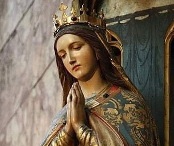 زوّادة اليوم 14 آب 2023