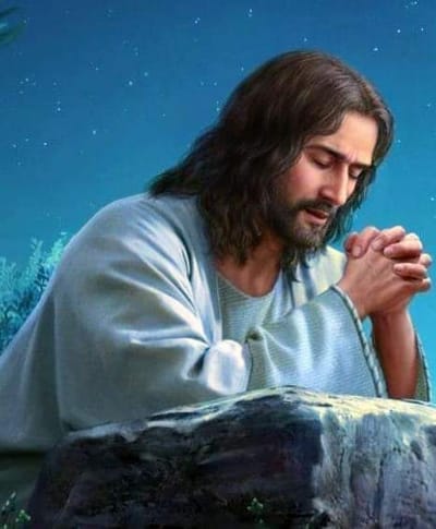 زوّادة اليوم 22 آب 2023