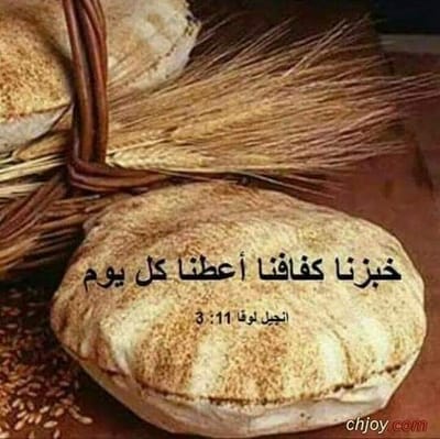 زوادة اليوم 24 آب 2023