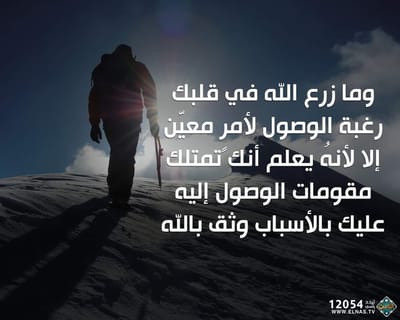 زوادة اليوم 26 تشرين الأول 2023