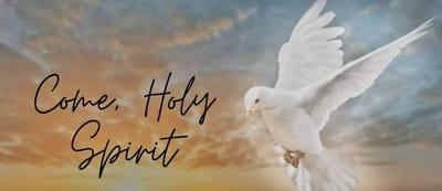 زوادة اليوم 28 تشرين الثاني 2023