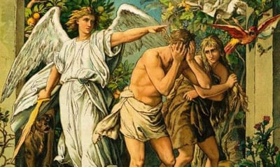 زوادة اليوم 23 كانون الثاني 2024