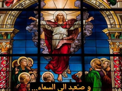 زوادة اليوم 9 أيّار 2024