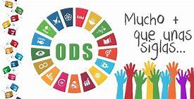 ¿Que es ODS? image