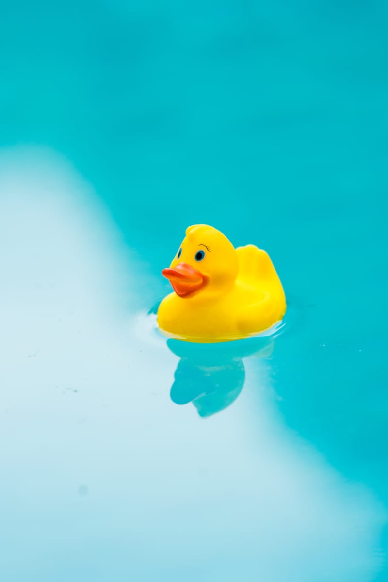 Was ist ein Entenrennen?