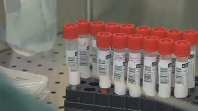 فيروس الكورونا : مع اللقاحات، بحلول نهاية العام، نور في نهاية النفق