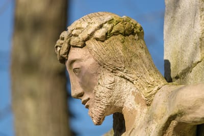 أَنَّهُ لَمْ يَسْتَأْجِرْنَا أَحَد! قَالَ لَهُم: إِذْهَبُوا أَنْتُم أَيضًا إِلى الكَرْم