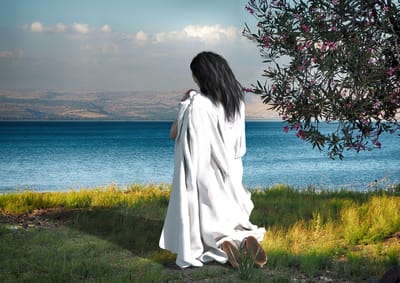 كلام واضح للرب يسوع إلى ماريا فالتورتا عن الفرق بين العقاب والرحمة المفرطة