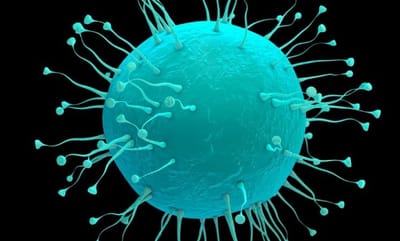 الصحة العالمية تحذر من فيروس "نيباه" الخطير !!