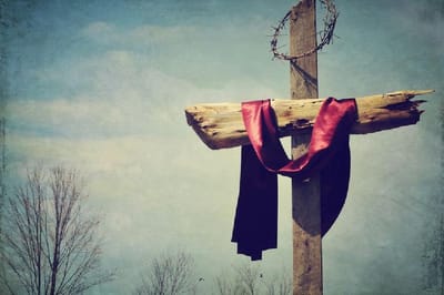 ✝️ زيّاح الصليب ✝️