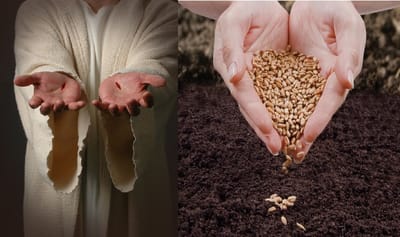 وَوَقَعَ بَعْضُهُ الآخَرُ في الأَرْضِ الصَّالِحَة، وَنَبَتَ فَأَثْمَرَ مِئَةَ ضِعْف