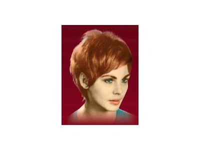 "روز هاكنبرغ "