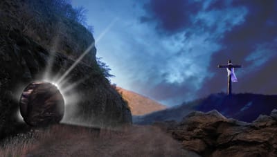 فَرَأَتِ الحَجَرَ مَرْفُوعًا عَنِ القَبْر