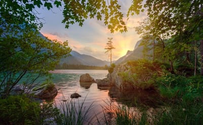 صبحية مع الرب